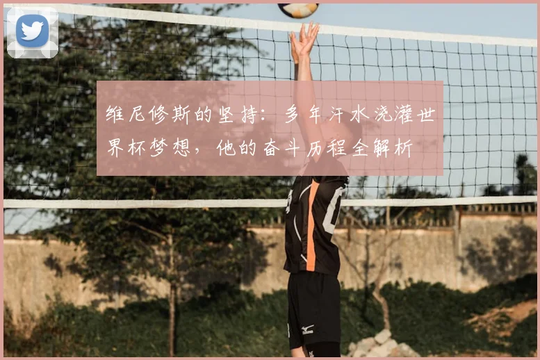 维尼修斯的坚持：多年汗水浇灌世界杯梦想，他的奋斗历程全解析